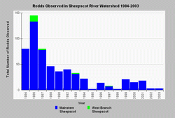 Sheepscot River Atlantic Salmon Redd Counts 1984-2003
