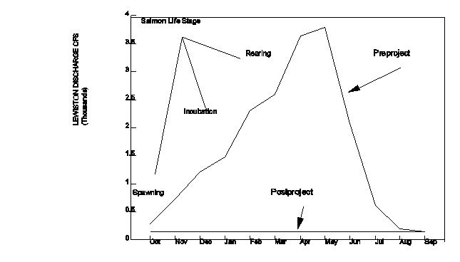 Undisplayed Graphic